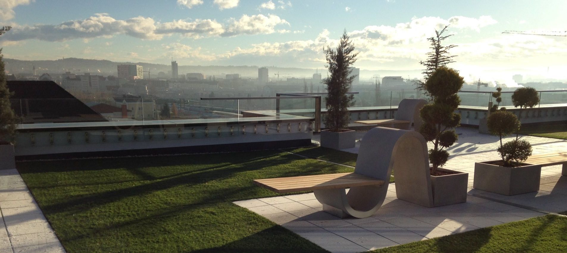 Eine Aufnahme aus der Vogelperspektive von einem begrünten Dach mit Sträuchern und Gras